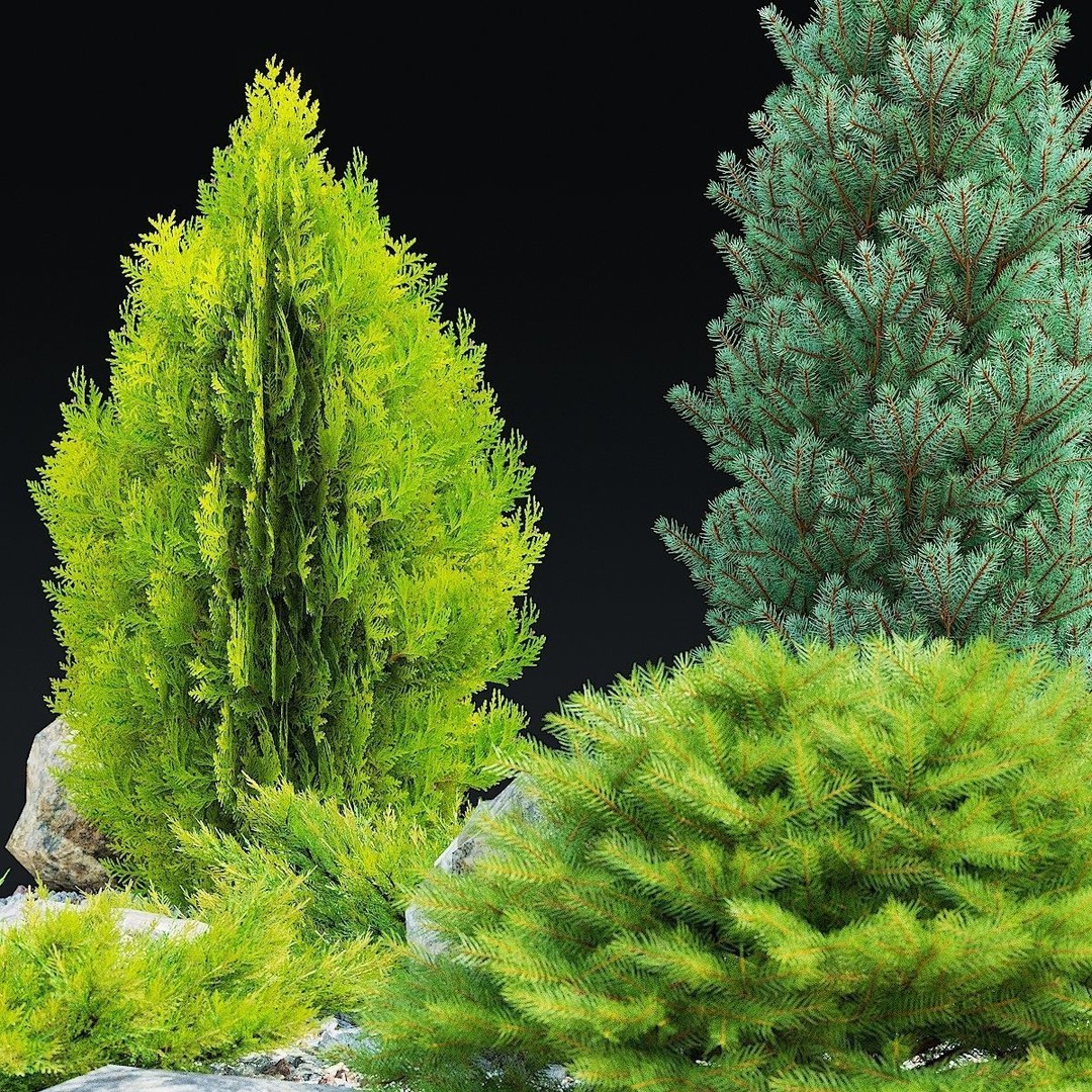 Alpine Hill 3D Model – Realistic Conifer Landscape Asset, FBX - View 4