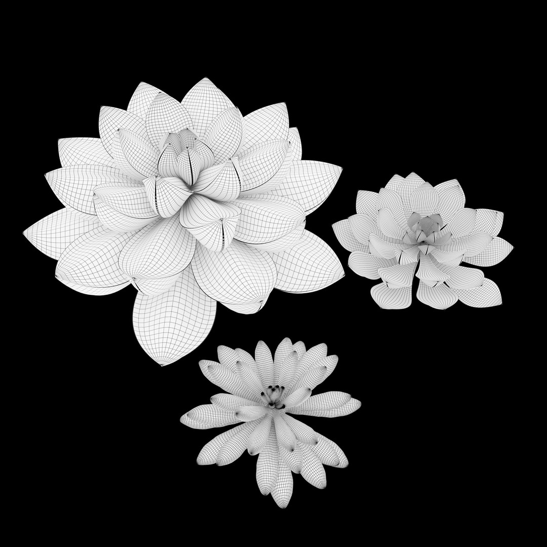 Succulent Plants 3D Model – Realistic Low Poly Game Asset, FBX