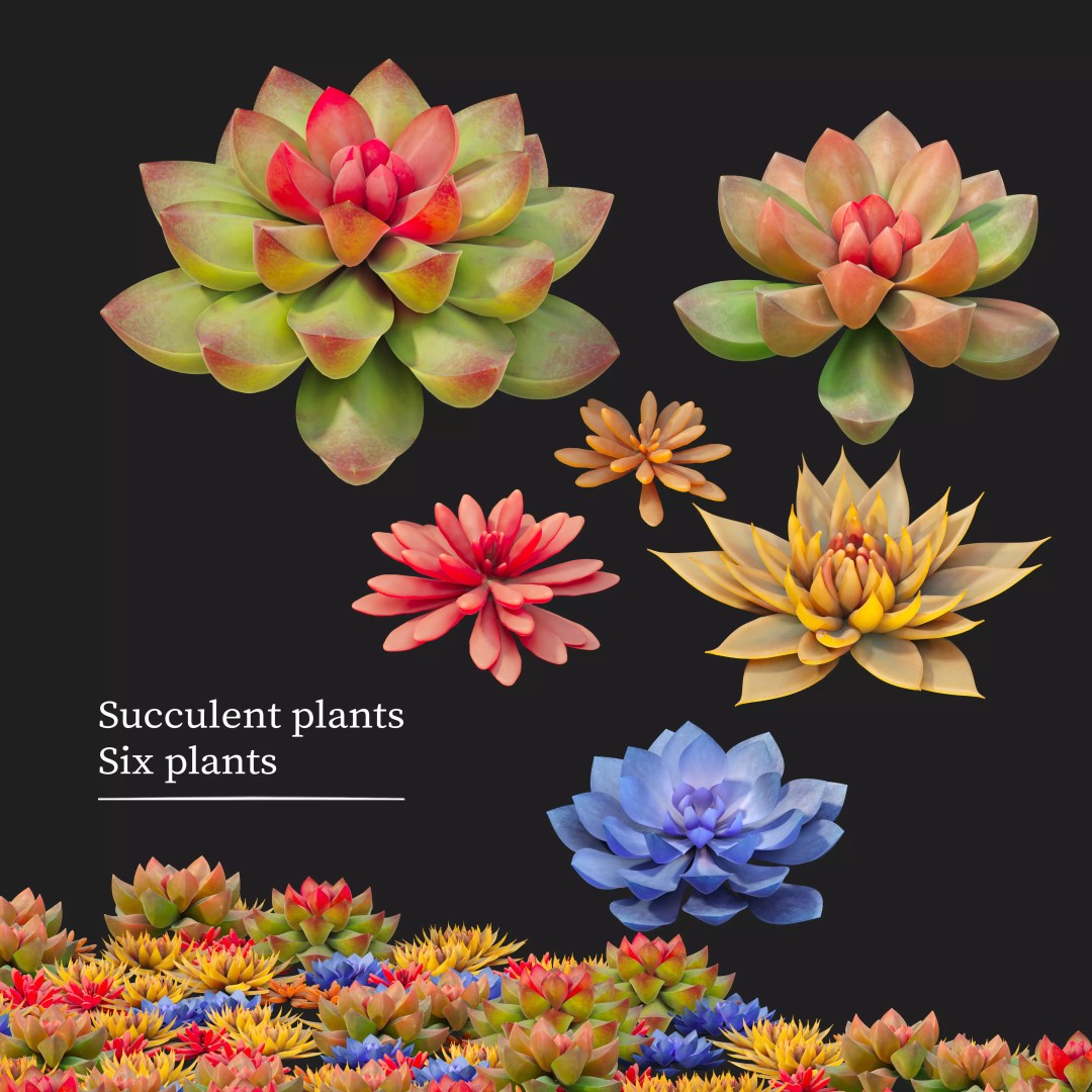 Succulent Plants 3D Model – Realistic Low Poly Game Asset, FBX - View 2