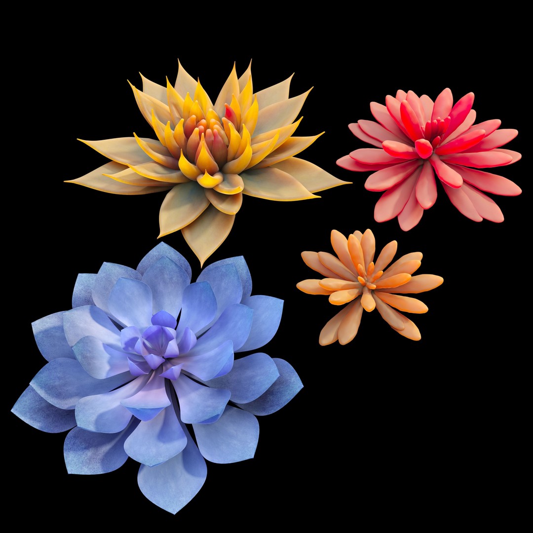Succulent Plants 3D Model – Realistic Low Poly Game Asset, FBX - View 4