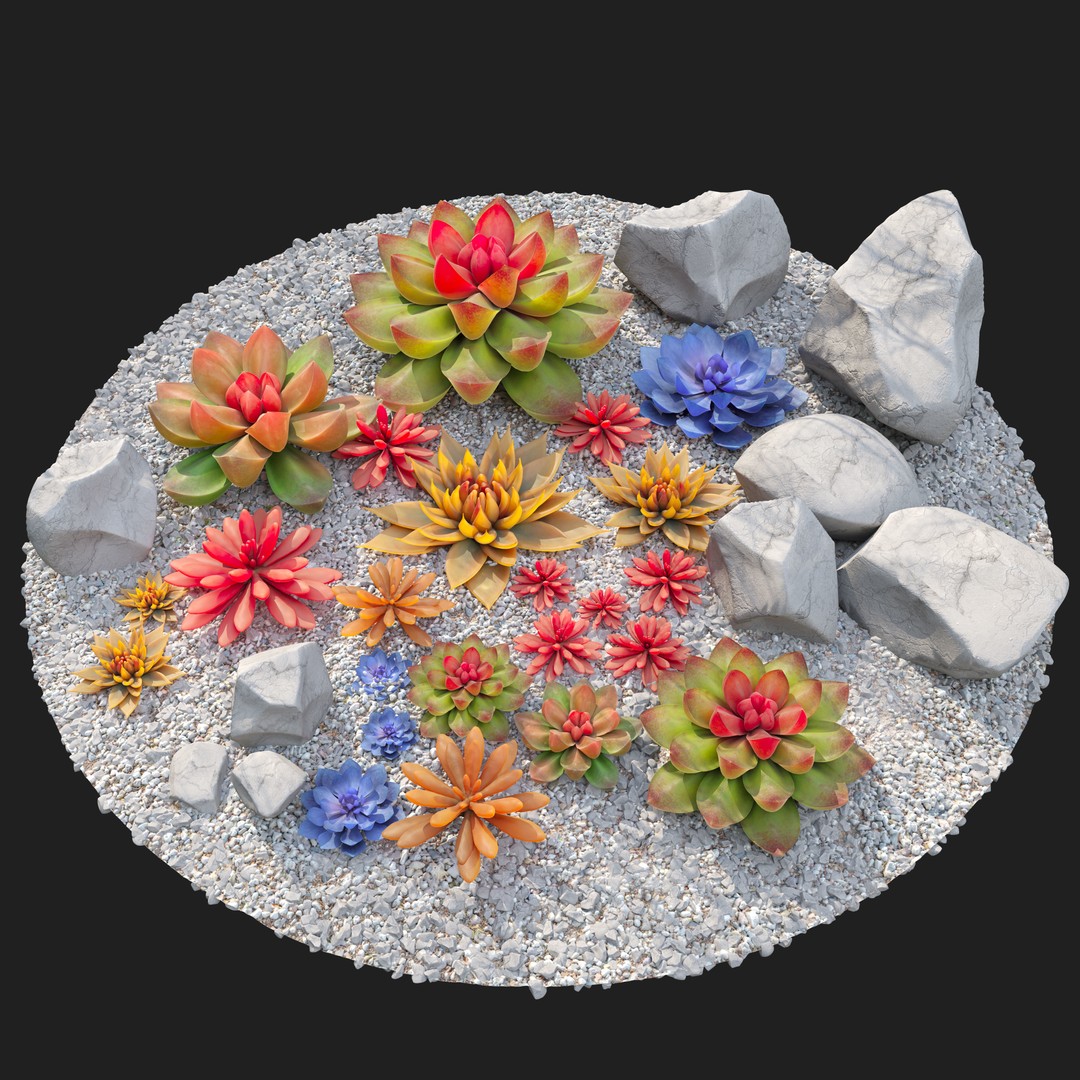Succulent Plants 3D Model – Realistic Low Poly Game Asset, FBX - View 5