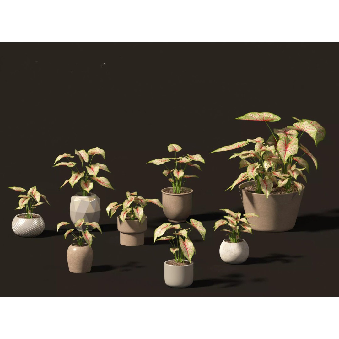 Decorative Indoor Plants 3D Model – High Poly Collection, FBX & Blender Formats - View 12