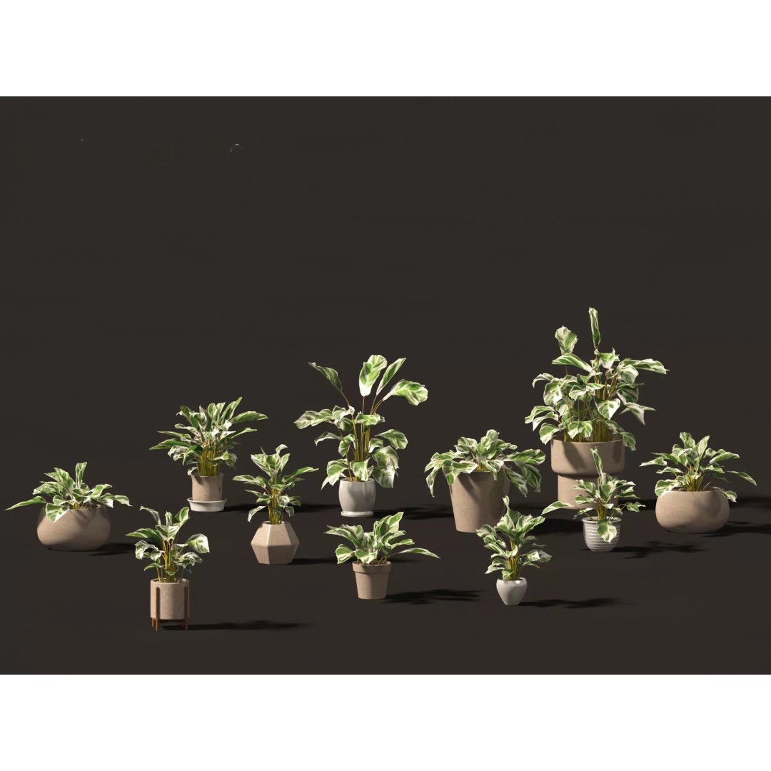 Decorative Indoor Plants 3D Model – High Poly Collection, FBX & Blender Formats - View 16