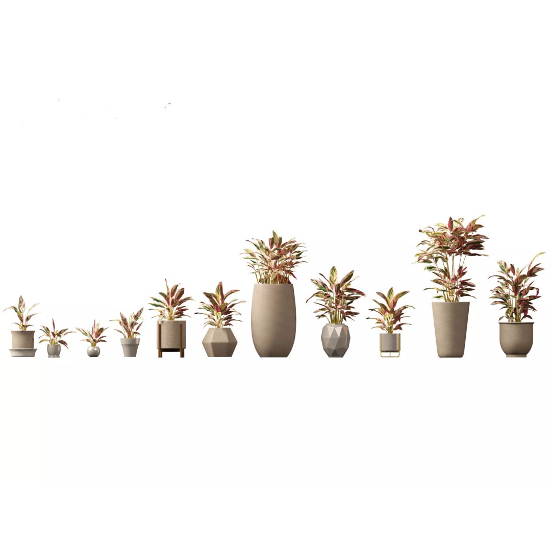Decorative Indoor Plants 3D Model – High Poly Collection, FBX & Blender Formats - View 23