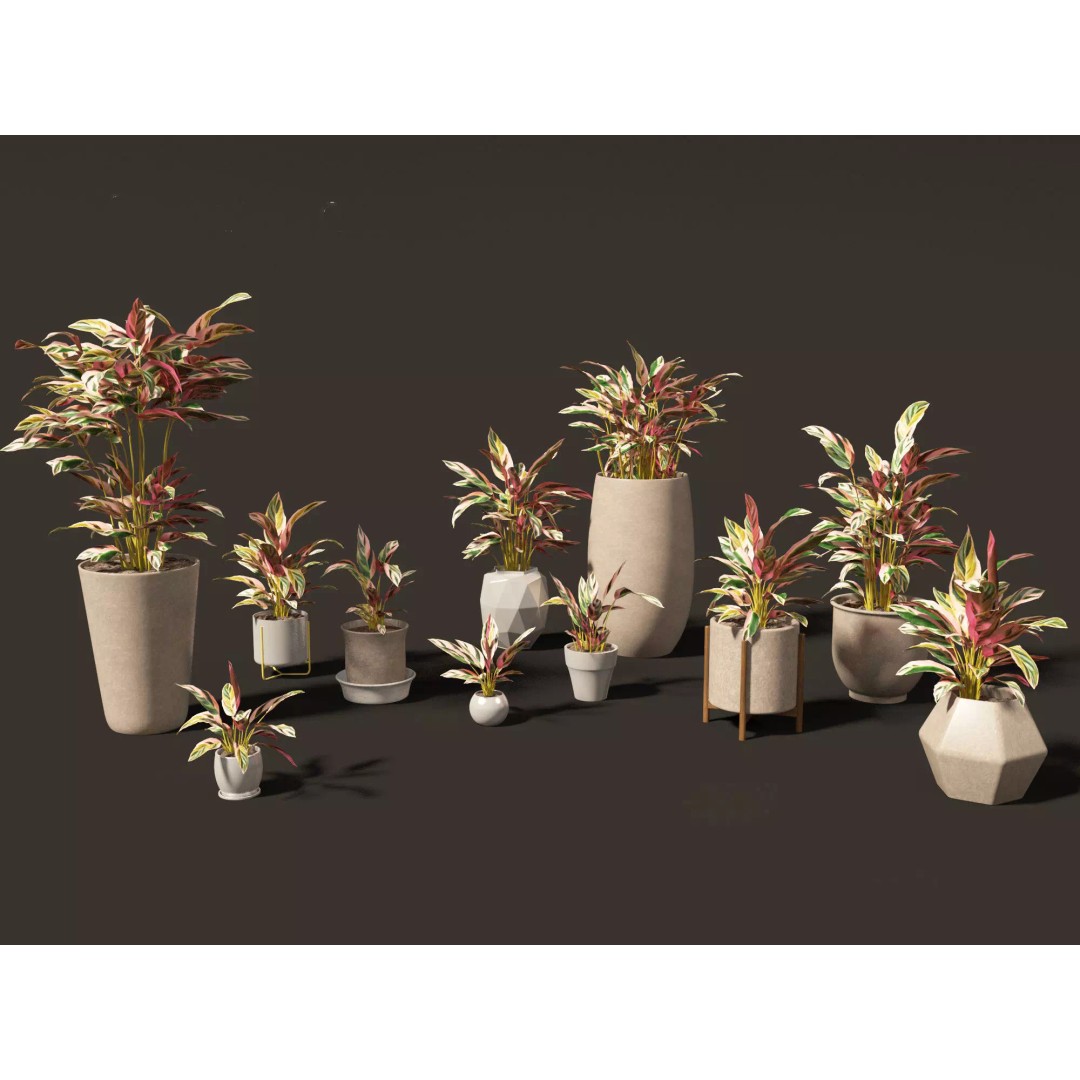 Decorative Indoor Plants 3D Model – High Poly Collection, FBX & Blender Formats - View 24