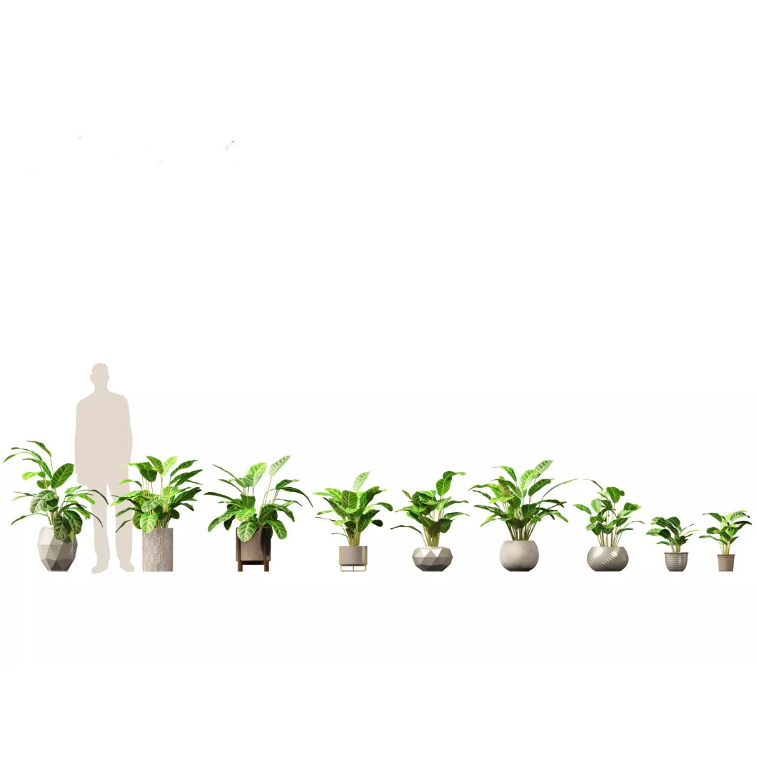 Decorative Indoor Plants 3D Model – High Poly Collection, FBX & Blender Formats - View 25