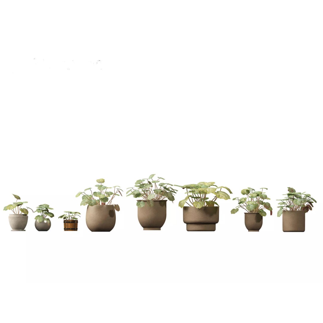 Decorative Indoor Plants 3D Model – High Poly Collection, FBX & Blender Formats - View 35