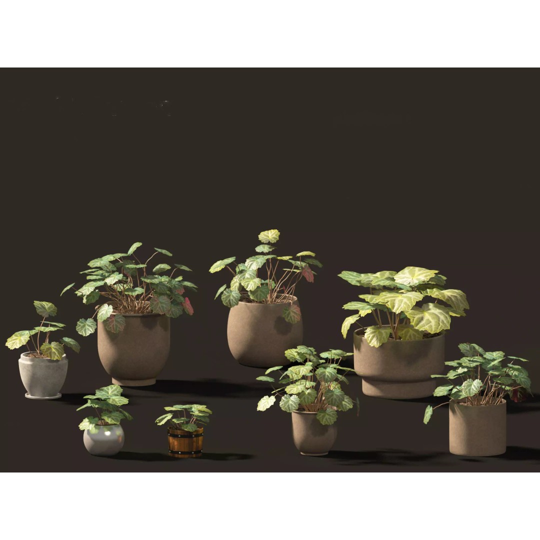 Decorative Indoor Plants 3D Model – High Poly Collection, FBX & Blender Formats - View 36