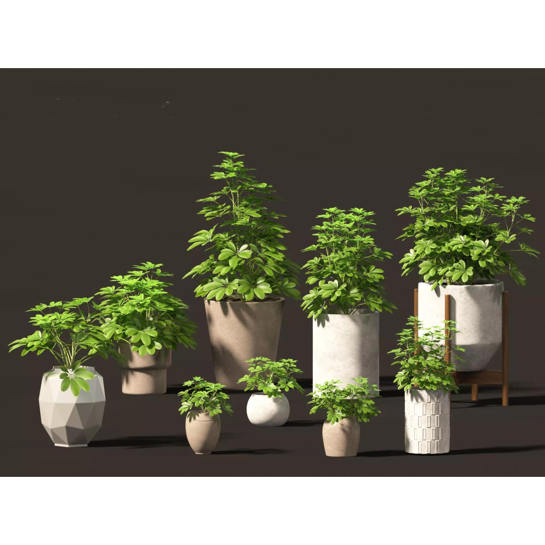 Decorative Indoor Plants 3D Model – High Poly Collection, FBX & Blender Formats - View 38