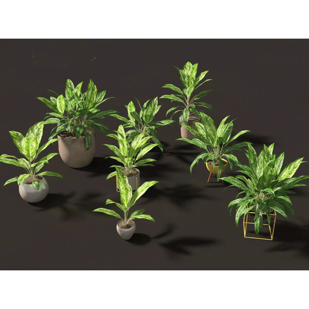 Decorative Indoor Plants 3D Model – High Poly Collection, FBX & Blender Formats - View 4
