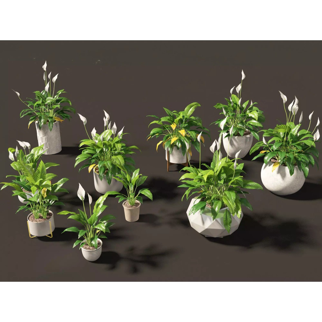 Decorative Indoor Plants 3D Model – High Poly Collection, FBX & Blender Formats - View 40