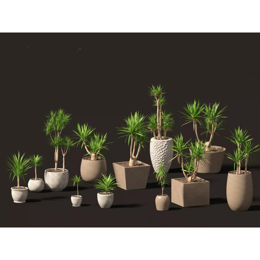 Decorative Indoor Plants 3D Model – High Poly Collection, FBX & Blender Formats - View 41