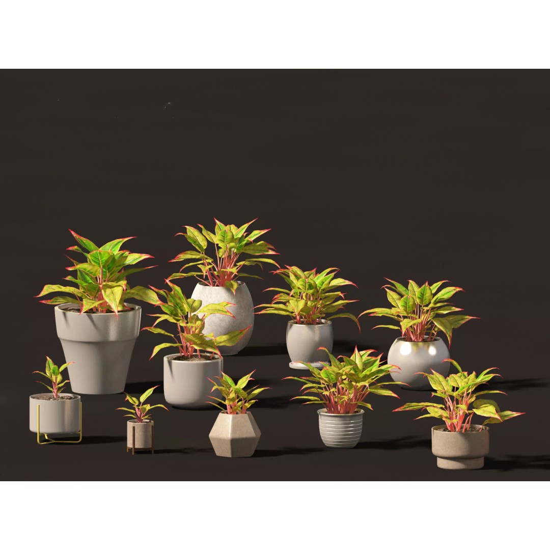 Decorative Indoor Plants 3D Model – High Poly Collection, FBX & Blender Formats - View 6