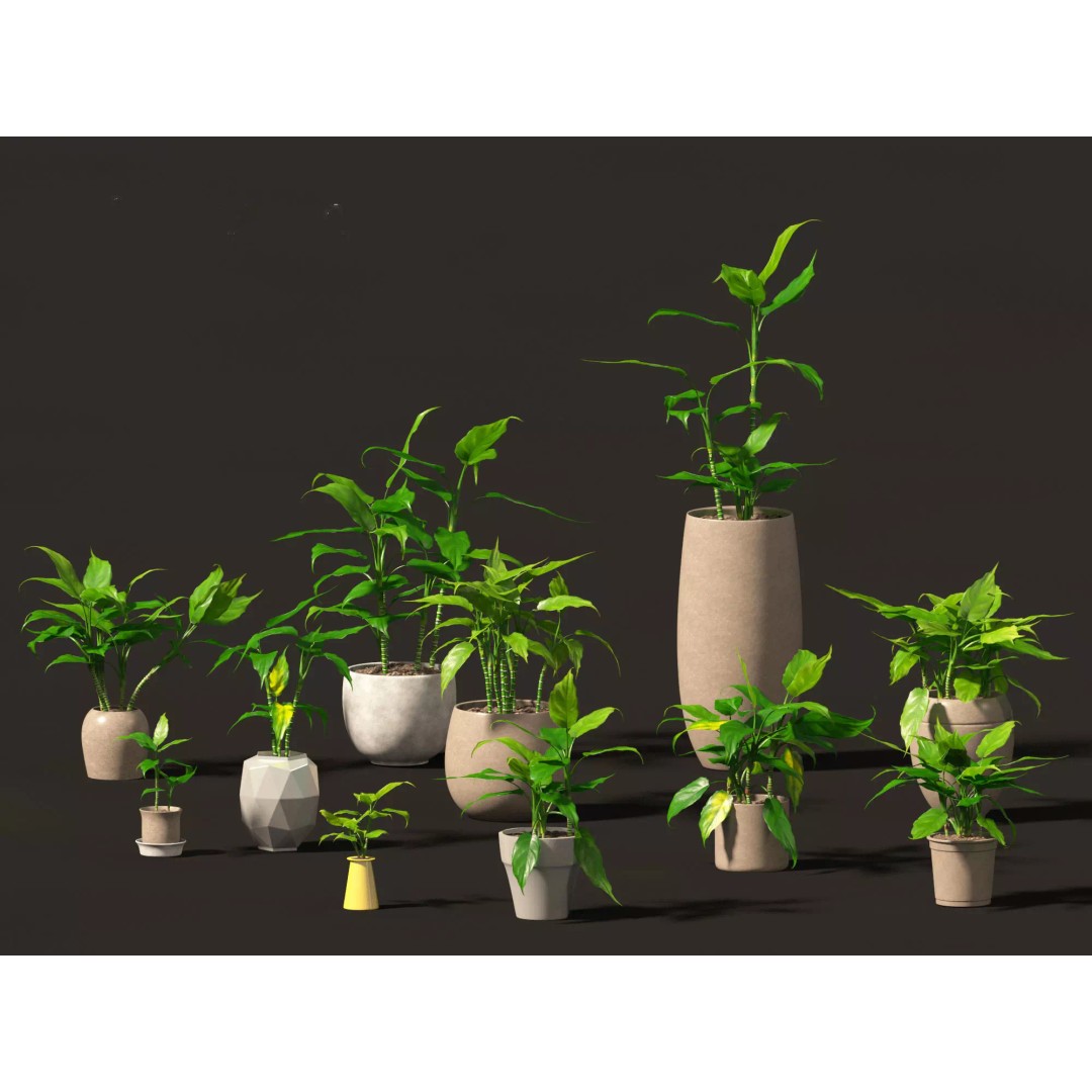 Decorative Indoor Plants 3D Model – High Poly Collection, FBX & Blender Formats - View 8