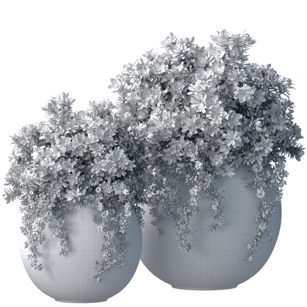 Petunia Flowers 3D Model – Classic Garden Pots for Decoration