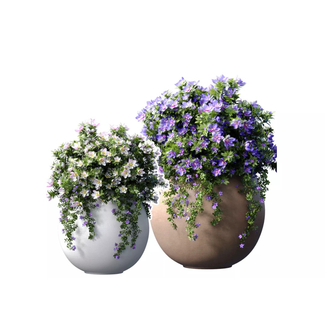 Petunia Flowers 3D Model – Classic Garden Pots for Decoration - View 2