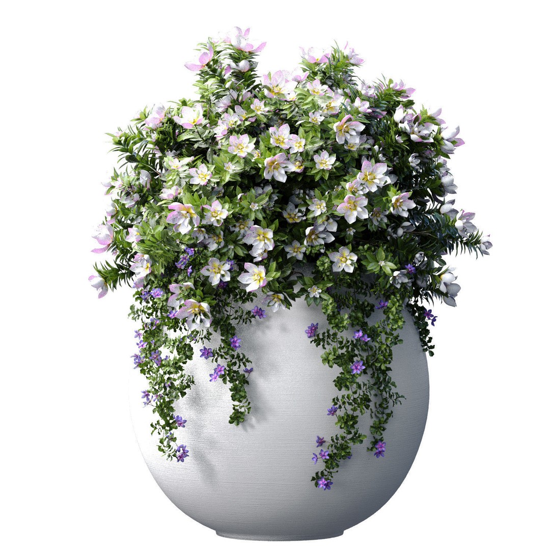 Petunia Flowers 3D Model – Classic Garden Pots for Decoration - View 3
