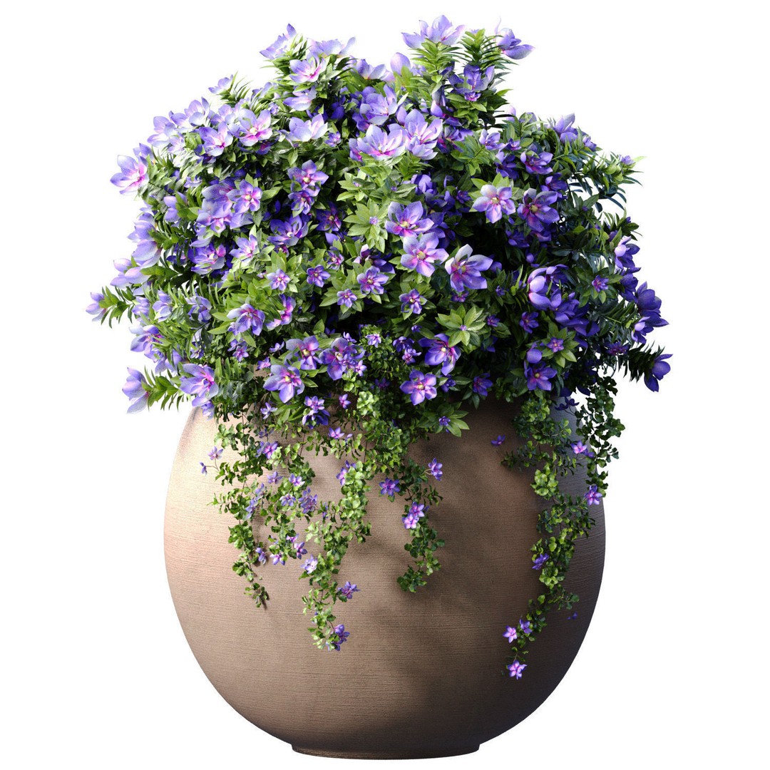 Petunia Flowers 3D Model – Classic Garden Pots for Decoration - View 4