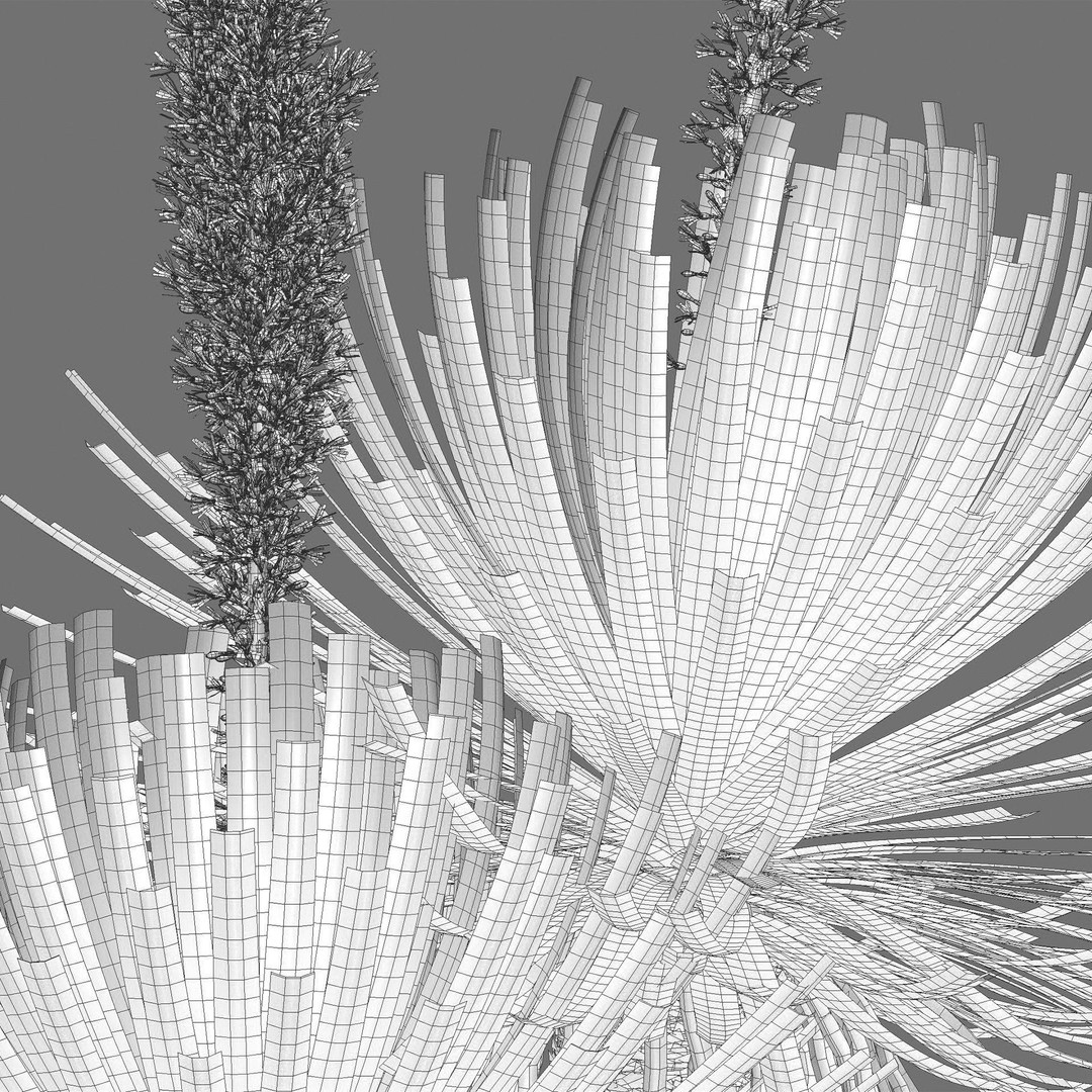 Dasylirion Serratifolium 3D Model – Realistic Plant Asset, FBX, PBR - View 6