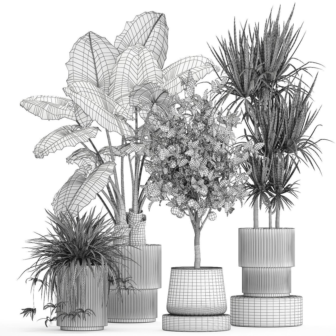 Alocasia and Dracaena Bush 3D Model – Tropical Indoor Plant, FBX