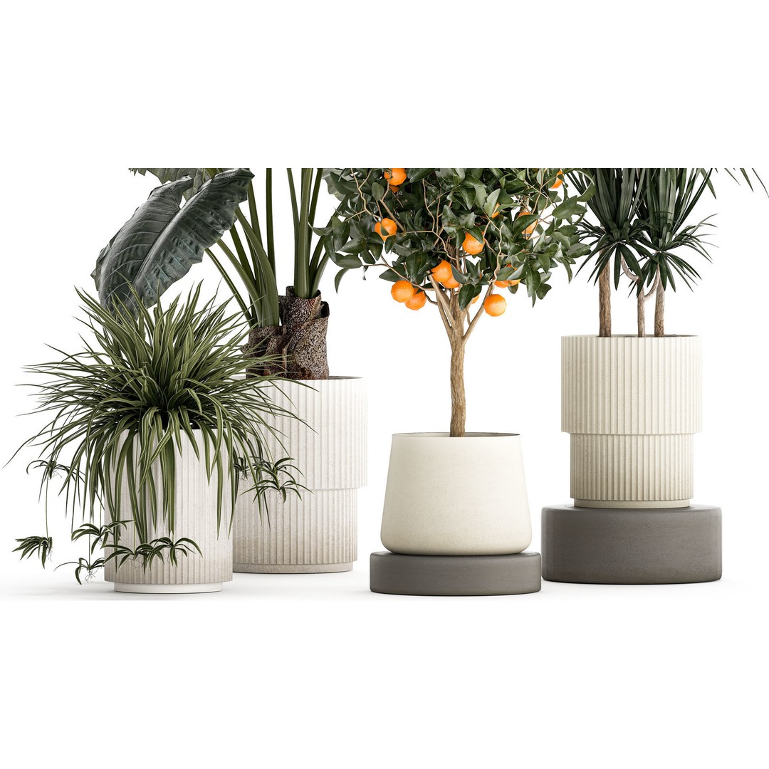 Alocasia and Dracaena Bush 3D Model – Tropical Indoor Plant, FBX - View 4