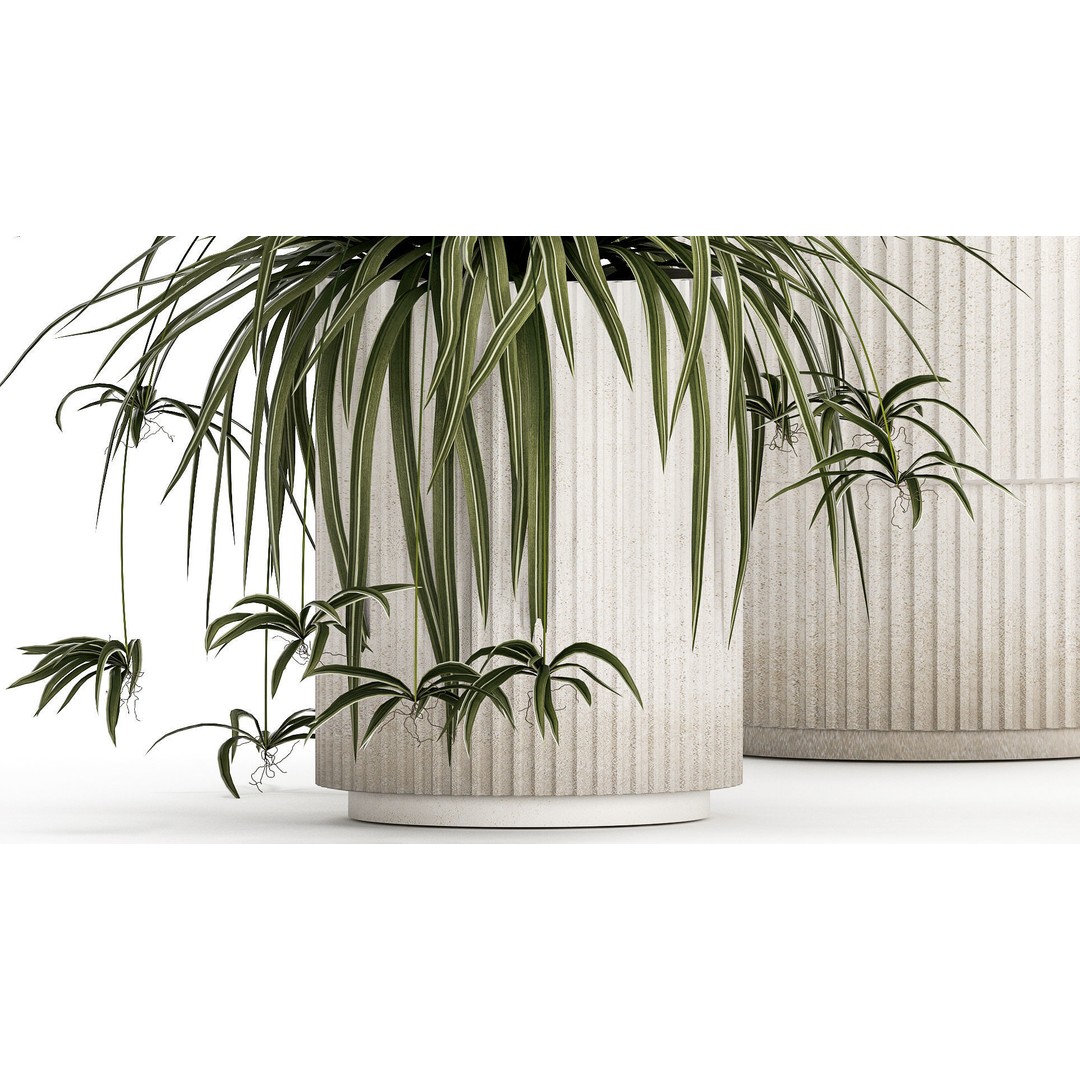 Alocasia and Dracaena Bush 3D Model – Tropical Indoor Plant, FBX - View 6