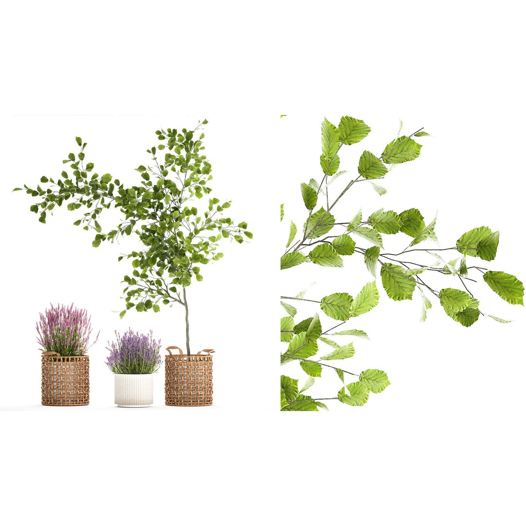 Lavender Bush and Tree 3D Model – Decorative Pot Plant, FBX, PBR - View 3