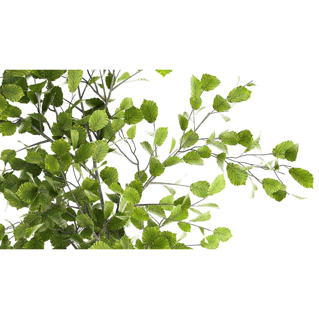 Lavender Bush and Tree 3D Model – Decorative Pot Plant, FBX, PBR - View 6