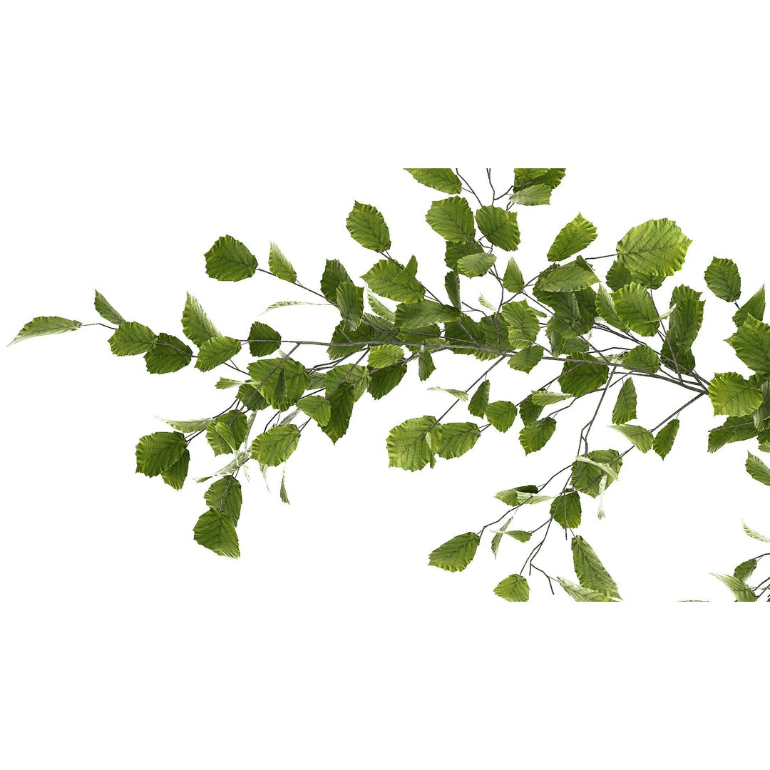 Lavender Bush and Tree 3D Model – Decorative Pot Plant, FBX, PBR - View 7