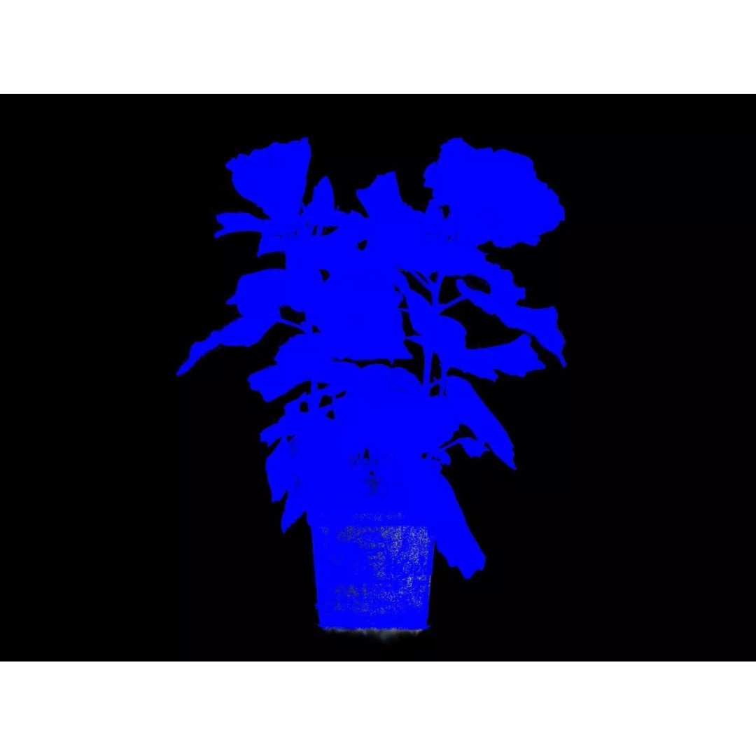 Red Hibiscus 3D Model – Volumetric Botanical Asset, PBR Formats - View 10