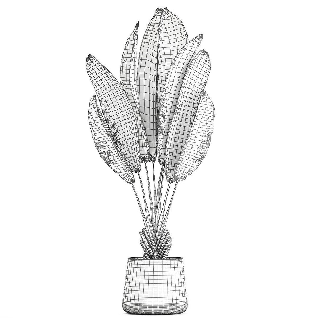 Strelitzia Ravenala Bush 3D Model – Stylish Pot Plant for Decor