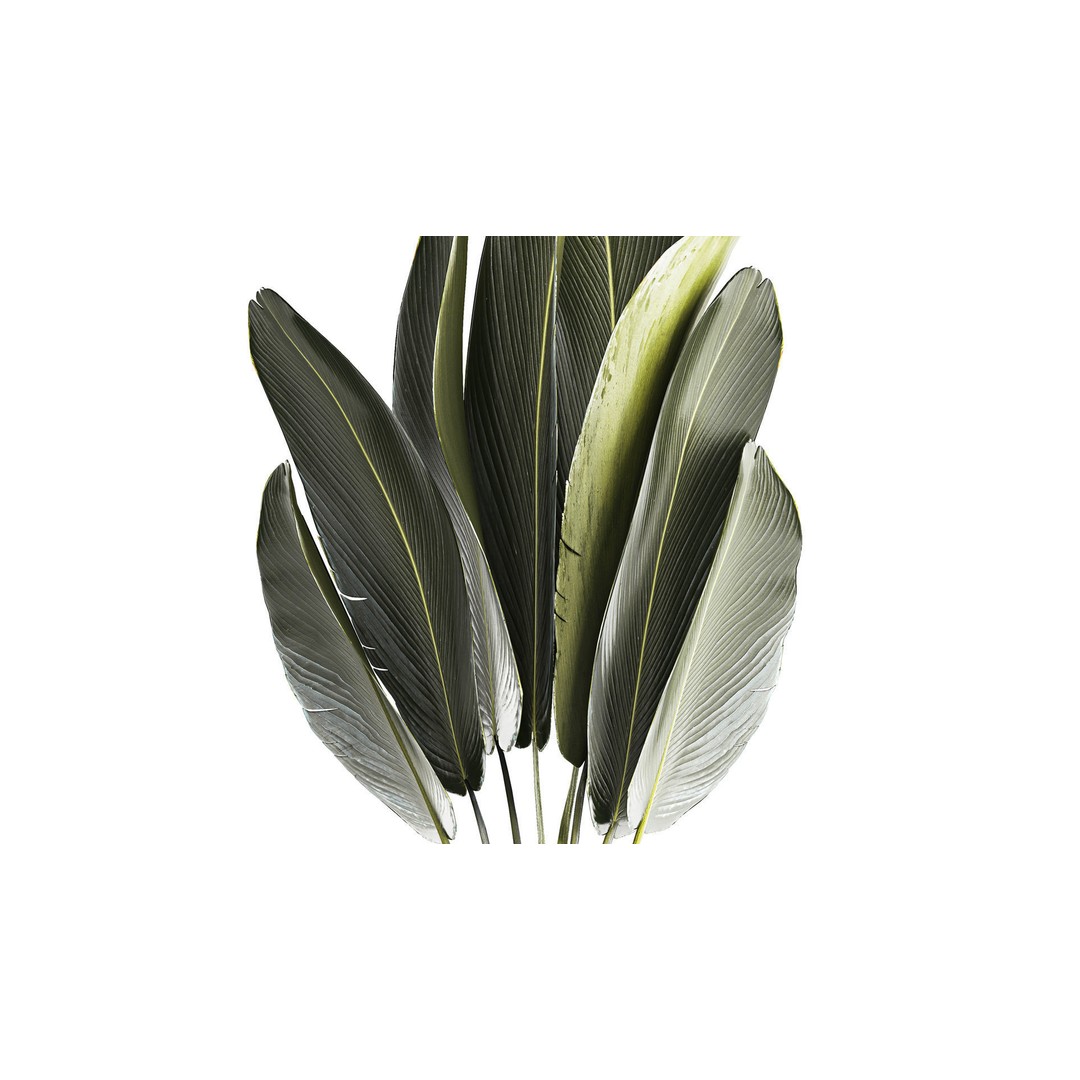 Strelitzia Ravenala Bush 3D Model – Stylish Pot Plant for Decor - View 4