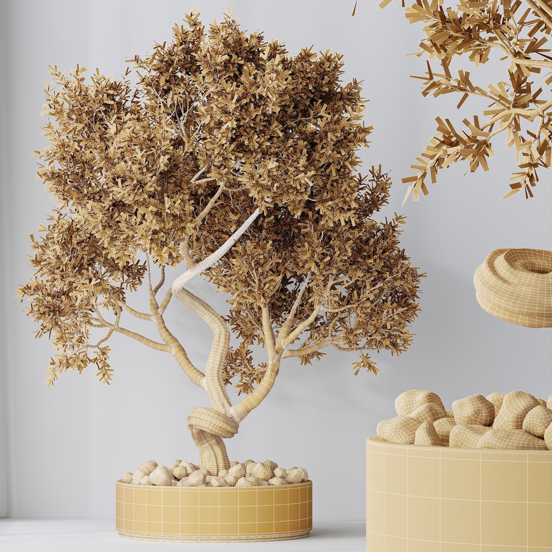 Microcarpa Bonsai 3D Model – Indoor Plant Set, PBR Textures, FBX
