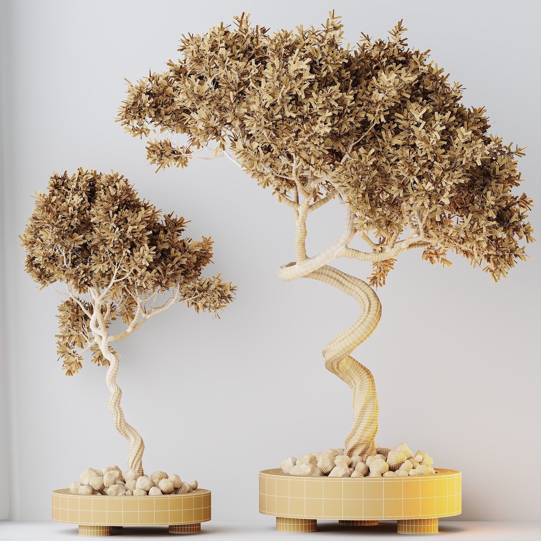 Microcarpa Bonsai 3D Model – Indoor Plant Set, PBR Textures, FBX - View 11