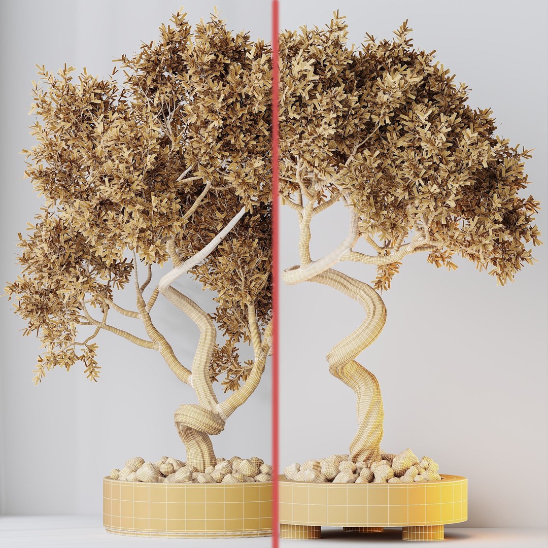 Microcarpa Bonsai 3D Model – Indoor Plant Set, PBR Textures, FBX - View 8