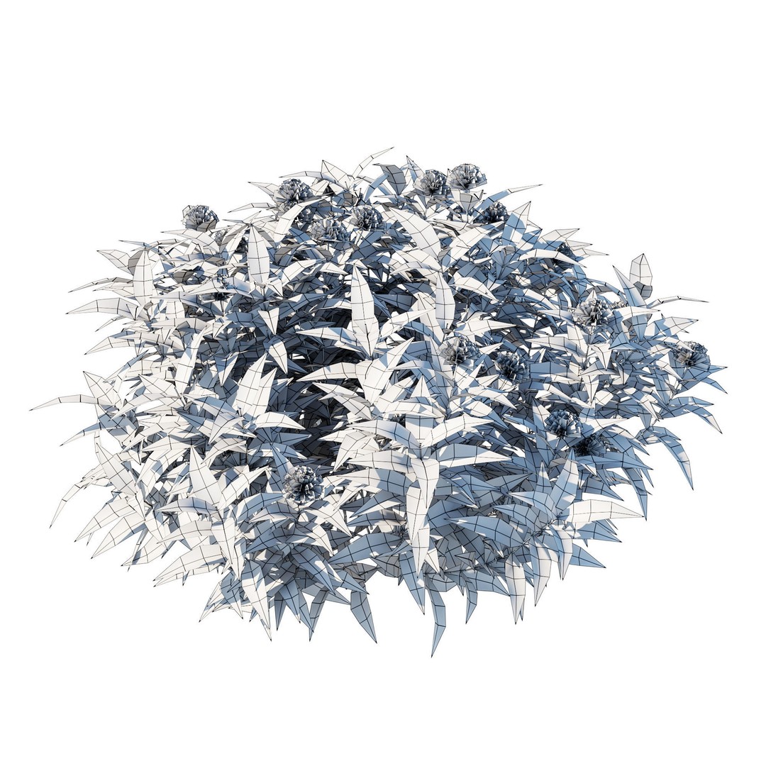 Pentas Lanceolata Bush 3D Model – High Poly PBR Asset, FBX, Corona - View 8