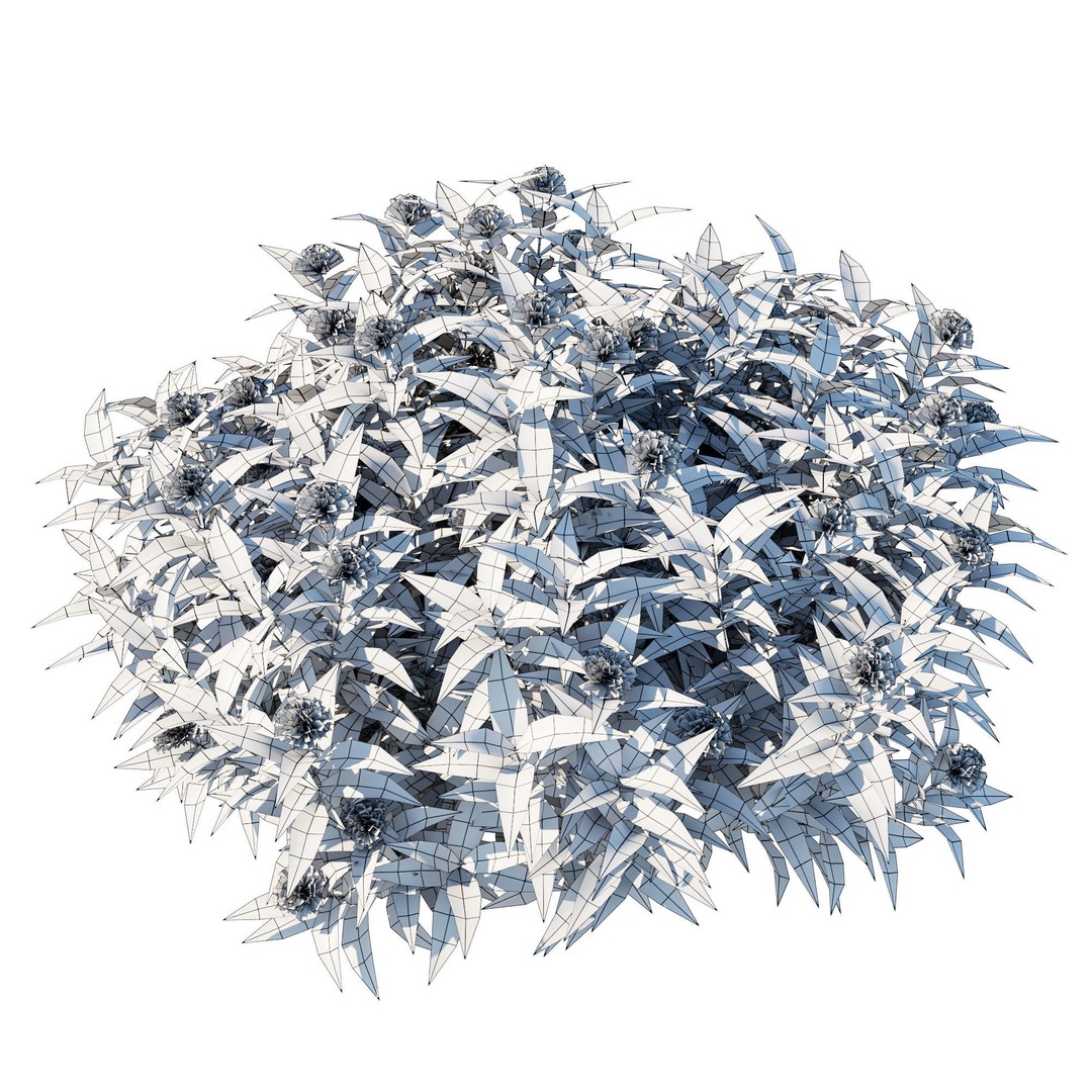 Pentas Lanceolata Bush 3D Model – High Poly PBR Asset, FBX, Corona - View 9