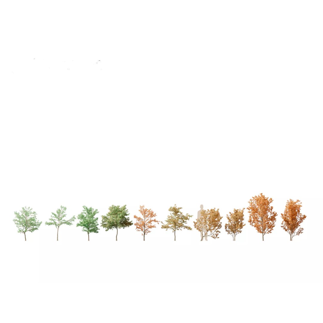 Autumn Colors Collection 3D Model – High Poly Plant Assets, FBX, Blender - View 10