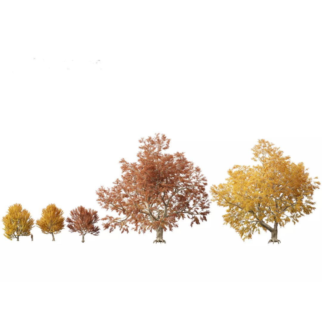 Autumn Colors Collection 3D Model – High Poly Plant Assets, FBX, Blender - View 11