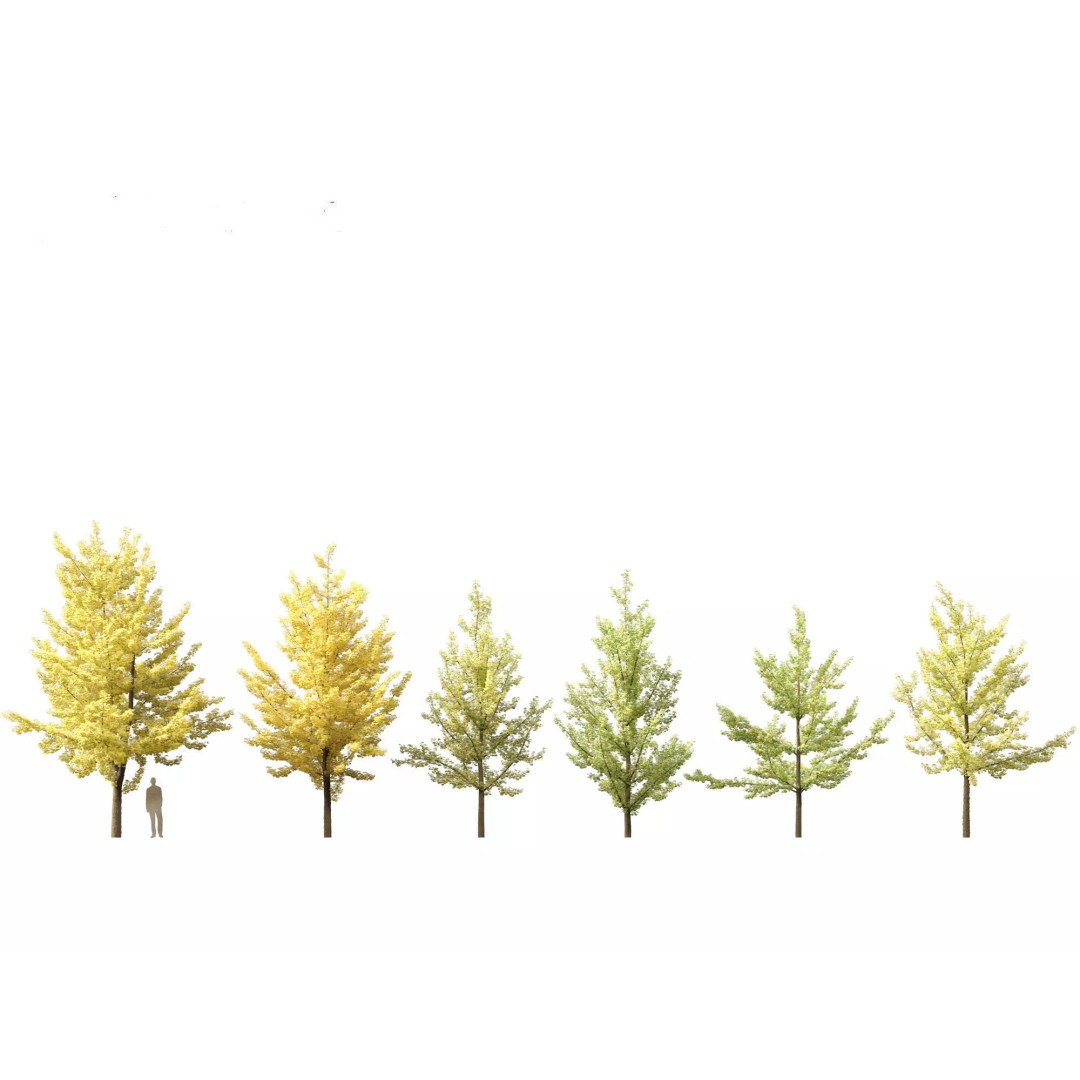 Autumn Colors Collection 3D Model – High Poly Plant Assets, FBX, Blender - View 12