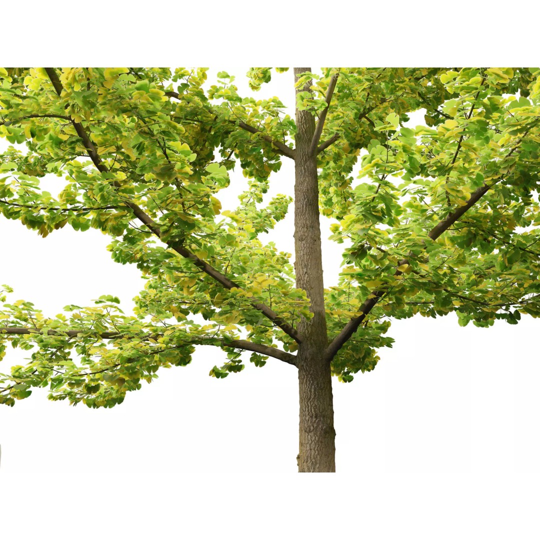 Autumn Colors Collection 3D Model – High Poly Plant Assets, FBX, Blender - View 13