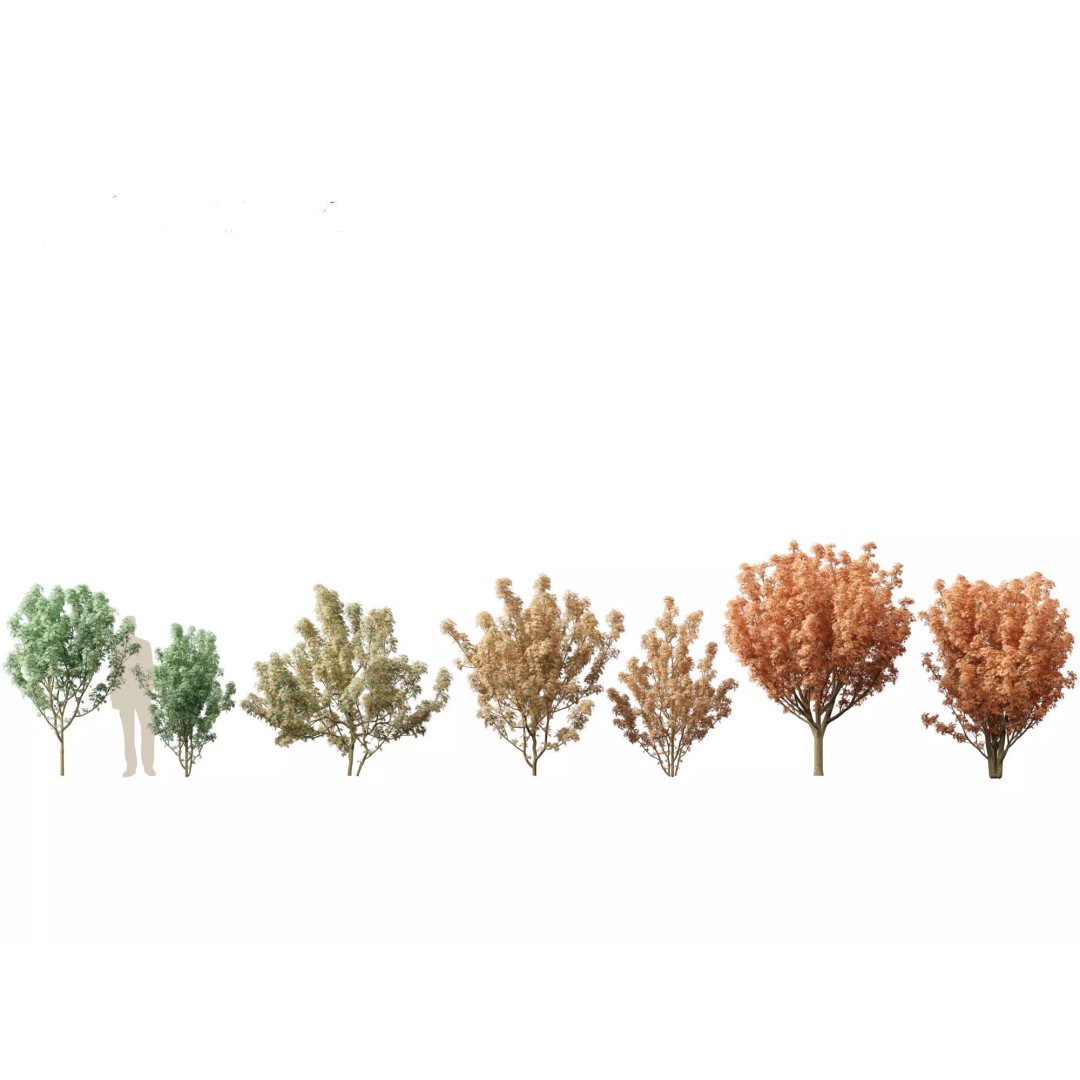 Autumn Colors Collection 3D Model – High Poly Plant Assets, FBX, Blender - View 14