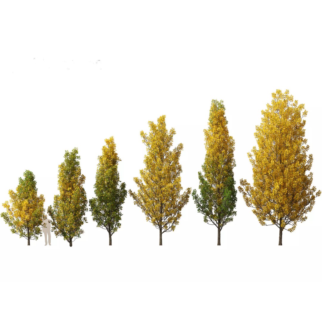 Autumn Colors Collection 3D Model – High Poly Plant Assets, FBX, Blender - View 15