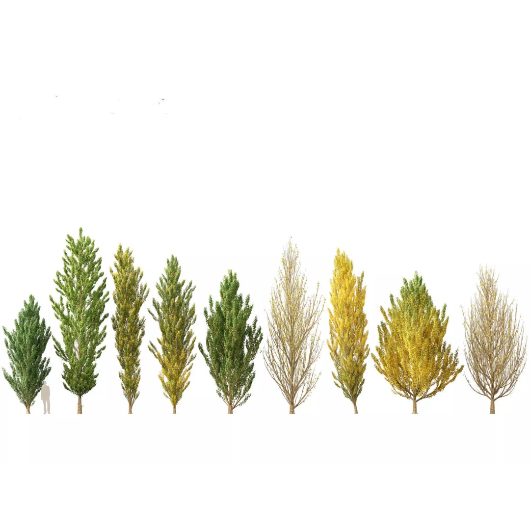 Autumn Colors Collection 3D Model – High Poly Plant Assets, FBX, Blender - View 16