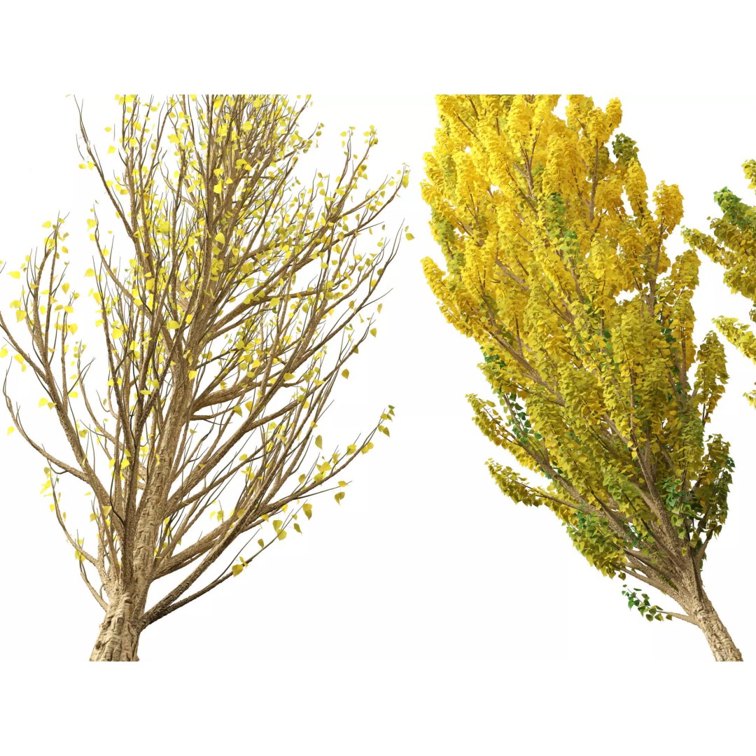 Autumn Colors Collection 3D Model – High Poly Plant Assets, FBX, Blender - View 17