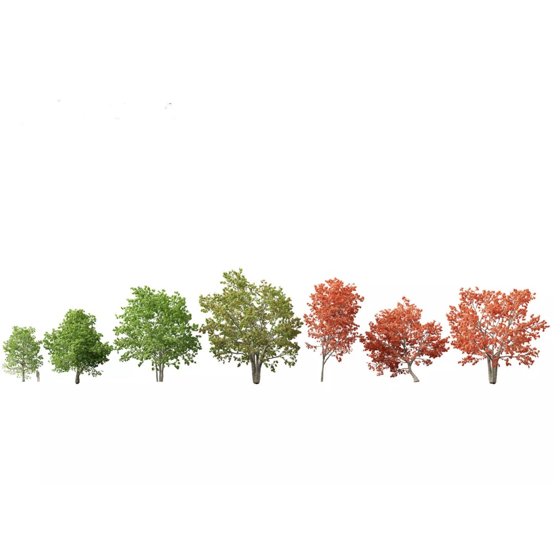 Autumn Colors Collection 3D Model – High Poly Plant Assets, FBX, Blender - View 18