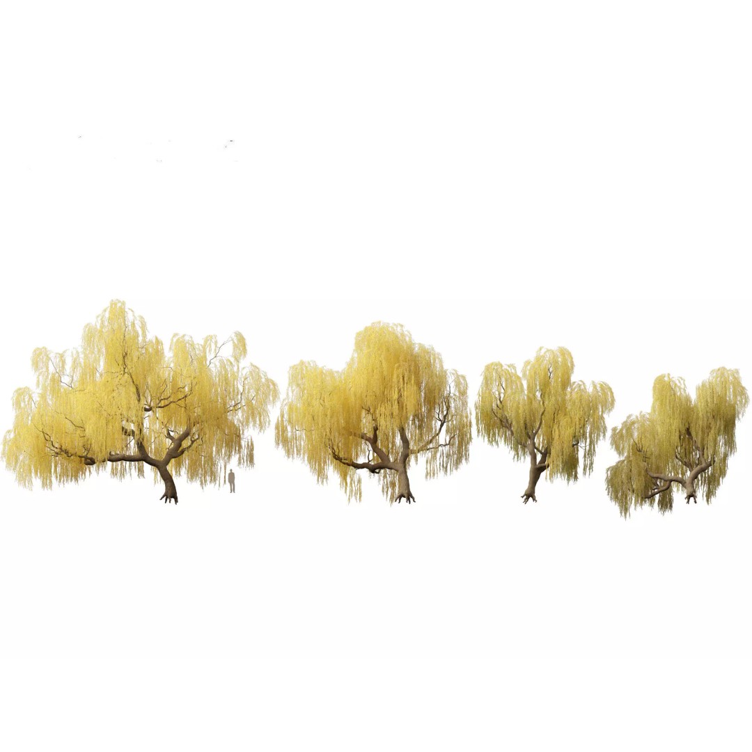 Autumn Colors Collection 3D Model – High Poly Plant Assets, FBX, Blender - View 19