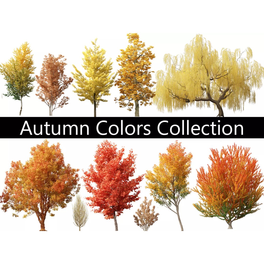 Autumn Colors Collection 3D Model – High Poly Plant Assets, FBX, Blender - View 2