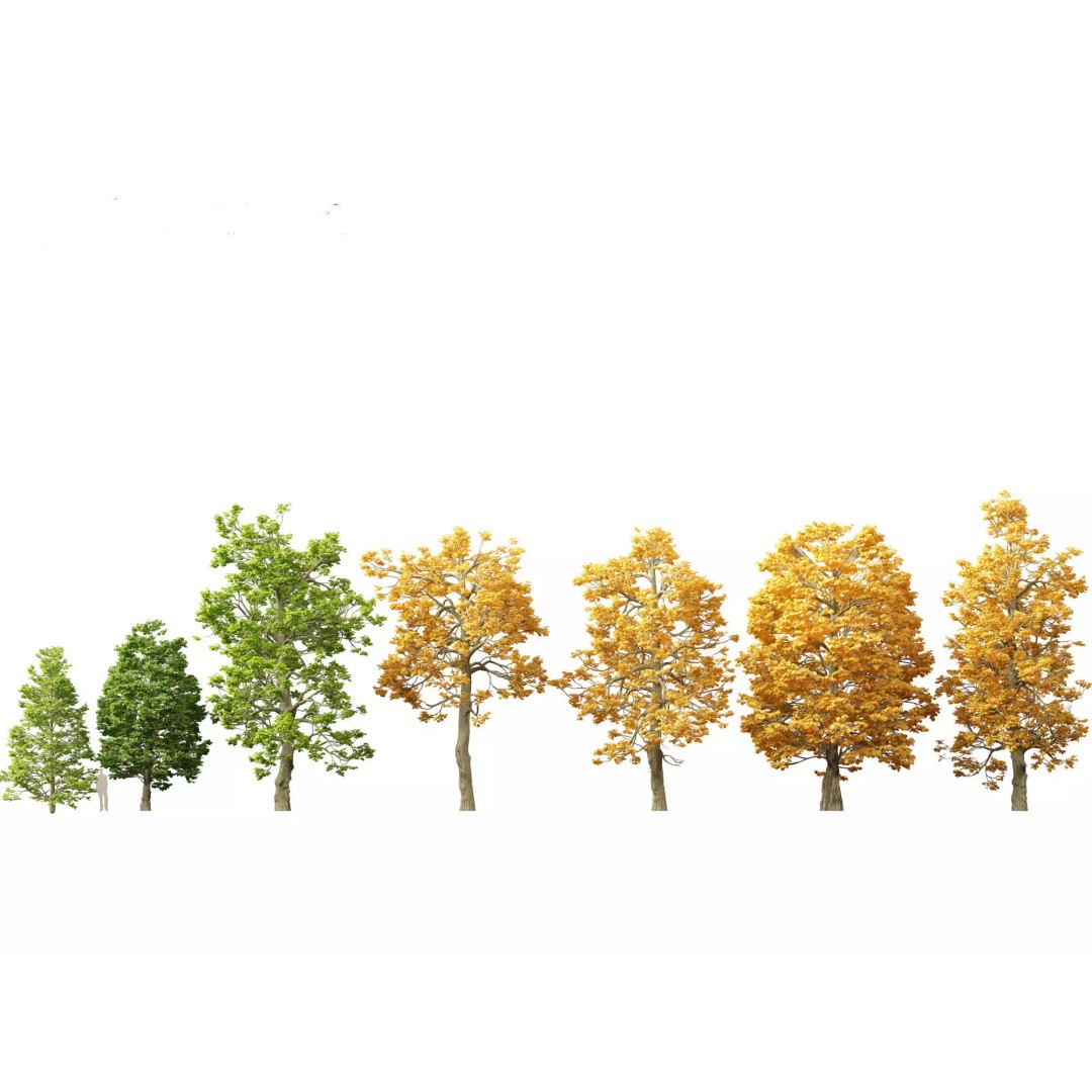 Autumn Colors Collection 3D Model – High Poly Plant Assets, FBX, Blender - View 20