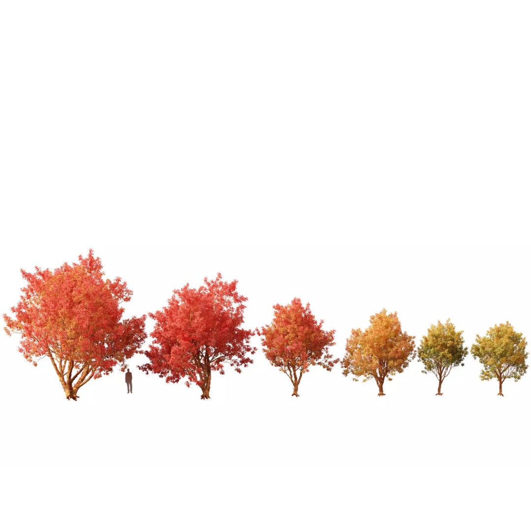 Autumn Colors Collection 3D Model – High Poly Plant Assets, FBX, Blender - View 3